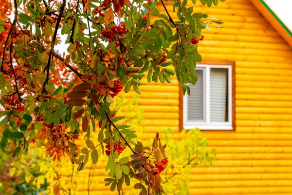 Cost of Garden Window Replacement in Middleburg